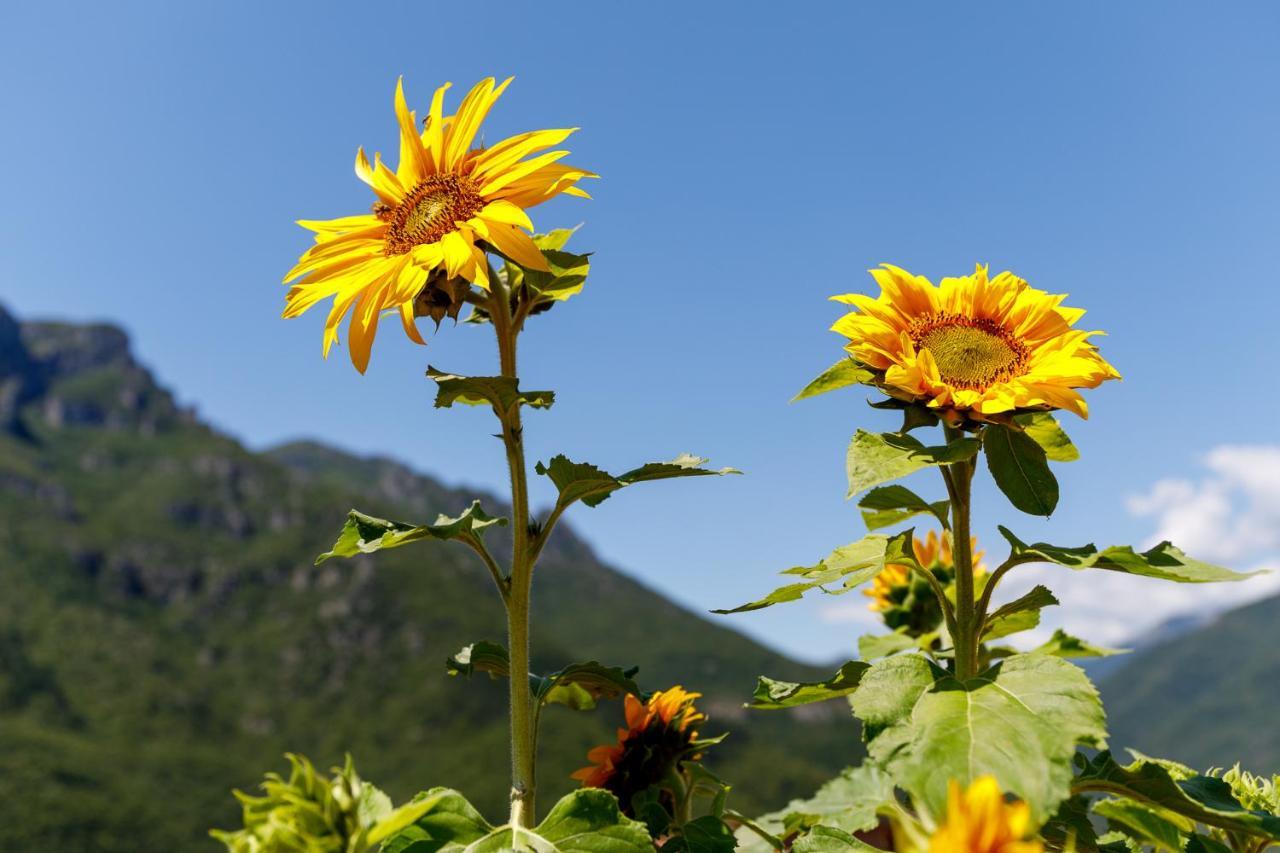 Arve Castelbianco - B&B E Appartamento Colletta Eksteriør bilde